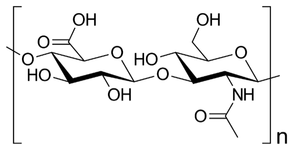 Ácido hilurónico Hyluronic Acid